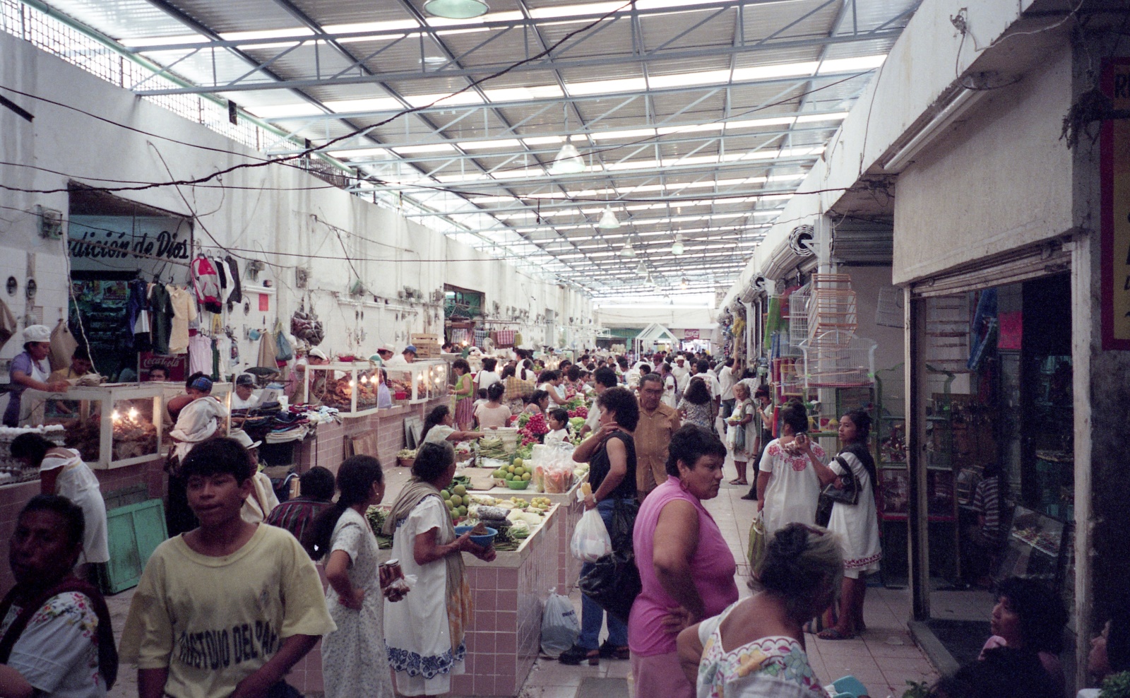 19961125 005   Merida Dolores Alba   Mexico Film 04 Fnr 017